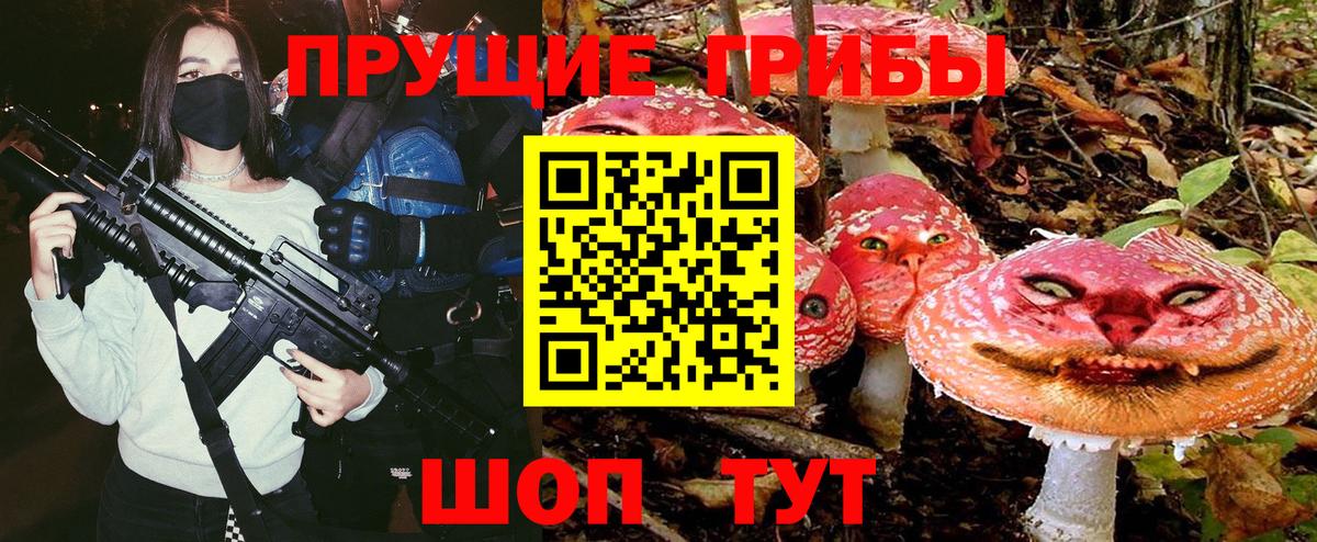 Псилоцибиновые грибы мицелий Кулебаки